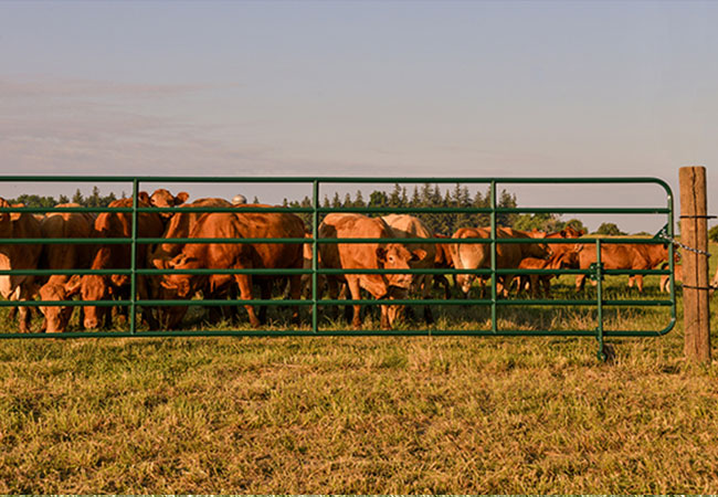 Diamond bar gates