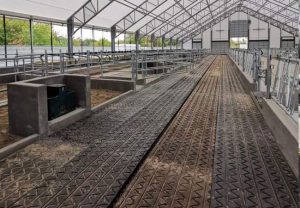 Distribution Multi Mat