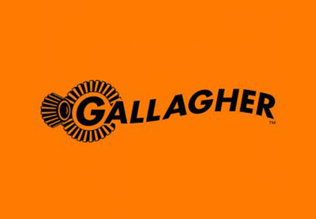 Gallagher 