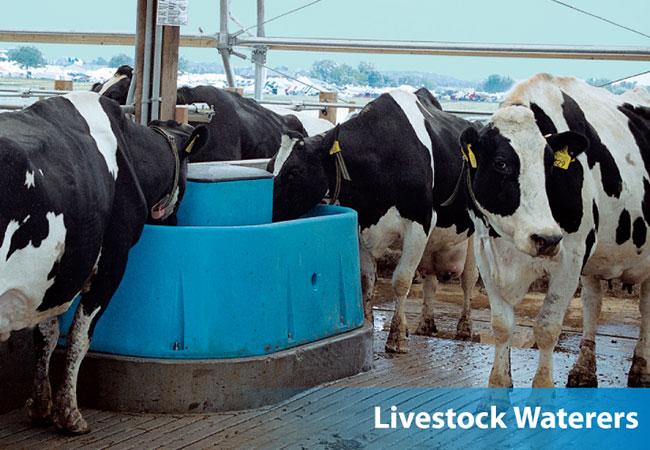 Livestock water systems